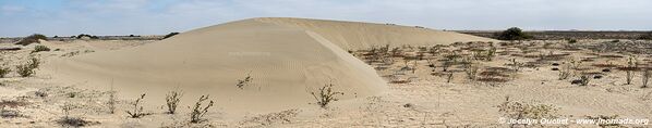 Road from Piura to Lambayeque - Peru