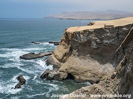 Paracas National Reserve - Peru