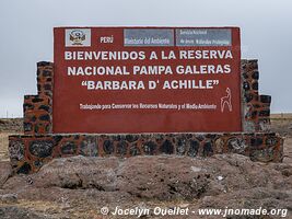Réserve nationale Pampas Galeras - Pérou