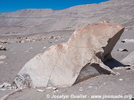 Toro Muerto Petroglyphs - Peru