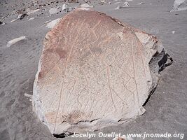 Toro Muerto Petroglyphs - Peru