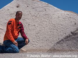 Toro Muerto Petroglyphs - Peru