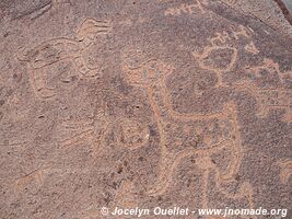 Toro Muerto Petroglyphs - Peru