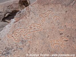 Toro Muerto Petroglyphs - Peru