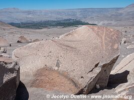 Toro Muerto Petroglyphs - Peru