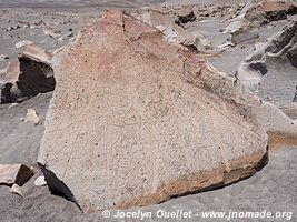 Toro Muerto Petroglyphs - Peru