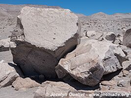 Toro Muerto Petroglyphs - Peru