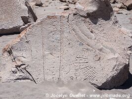 Toro Muerto Petroglyphs - Peru