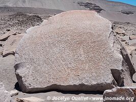 Toro Muerto Petroglyphs - Peru