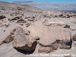 Toro Muerto Petroglyphs - Peru