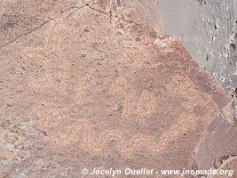 Toro Muerto Petroglyphs - Peru