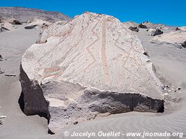 Toro Muerto Petroglyphs - Peru