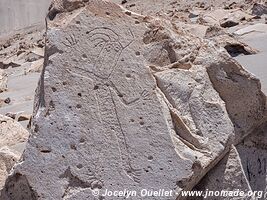 Toro Muerto Petroglyphs - Peru