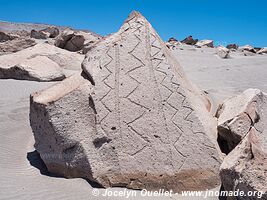 Toro Muerto Petroglyphs - Peru