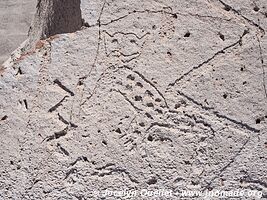 Toro Muerto Petroglyphs - Peru