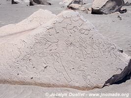 Toro Muerto Petroglyphs - Peru