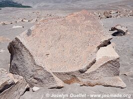 Toro Muerto Petroglyphs - Peru