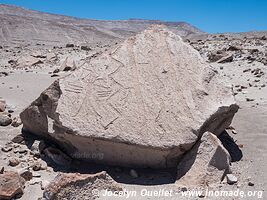 Toro Muerto Petroglyphs - Peru