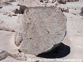 Toro Muerto Petroglyphs - Peru