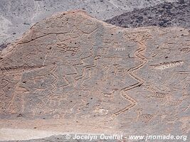 Toro Muerto Petroglyphs - Peru