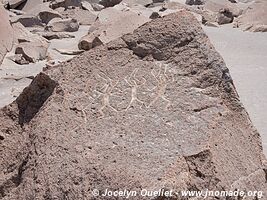 Toro Muerto Petroglyphs - Peru