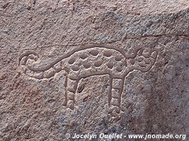 Toro Muerto Petroglyphs - Peru