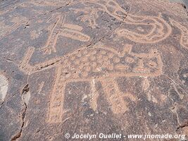 Toro Muerto Petroglyphs - Peru