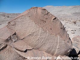 Toro Muerto Petroglyphs - Peru