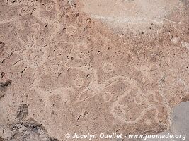 Toro Muerto Petroglyphs - Peru