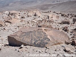 Toro Muerto Petroglyphs - Peru