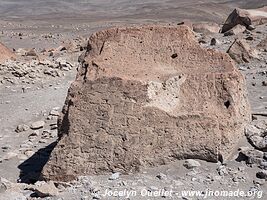 Toro Muerto Petroglyphs - Peru