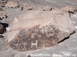 Toro Muerto Petroglyphs - Peru