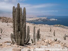 Road from Camaná to the border - Peru