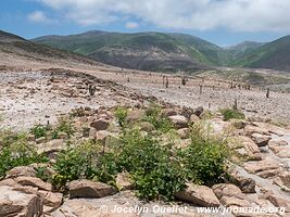 Road from Camaná to the border - Peru