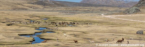 Road from San Mateo de Huanchor to Tanta - Nor Yauyos-Cochas Landscape Reserve - Peru