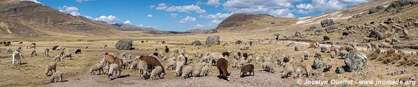 Road from San Mateo de Huanchor to Tanta - Nor Yauyos-Cochas Landscape Reserve - Peru