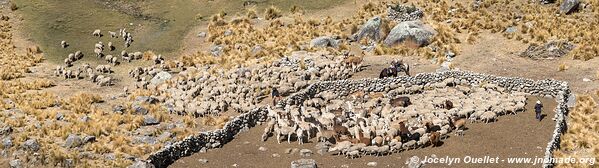 Road from Tanta to Vilca - Nor Yauyos-Cochas Landscape Reserve - Peru