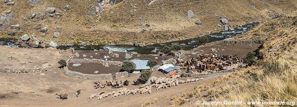 Road from Tanta to Vilca - Nor Yauyos-Cochas Landscape Reserve - Peru