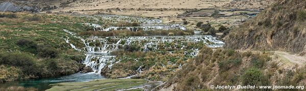 Vilca - Réserve paysagère Nor Yauyos-Cochas - Pérou