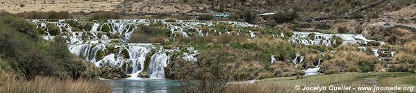 Vilca - Réserve paysagère Nor Yauyos-Cochas - Pérou