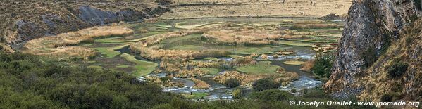 Vilca - Réserve paysagère Nor Yauyos-Cochas - Pérou