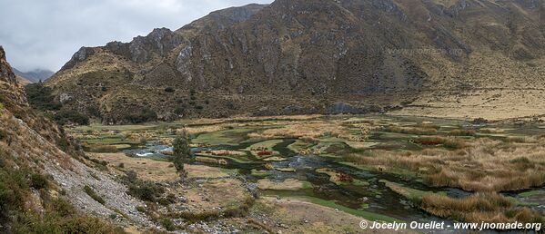 Vilca - Réserve paysagère Nor Yauyos-Cochas - Pérou