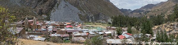 Vitis - Réserve paysagère Nor Yauyos-Cochas - Pérou