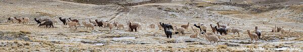 Road from Huancaya to Huancavelica - Peru