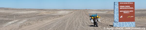 Paracas National Reserve - Peru