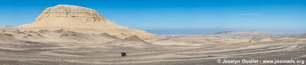 Paracas National Reserve - Peru