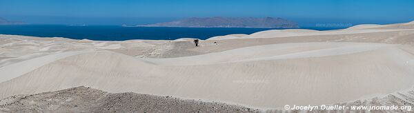 Paracas National Reserve - Peru