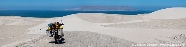 Réserve national de Paracas - Pérou