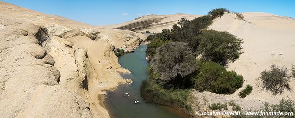 Trail to the Cañon de los Perdidos - Peru