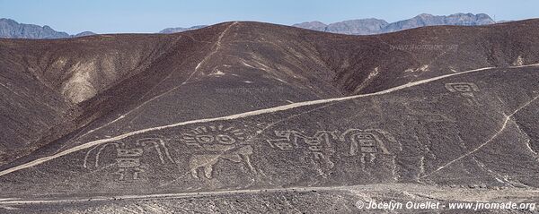 Palpa Geoglyphs - Palpa - Peru